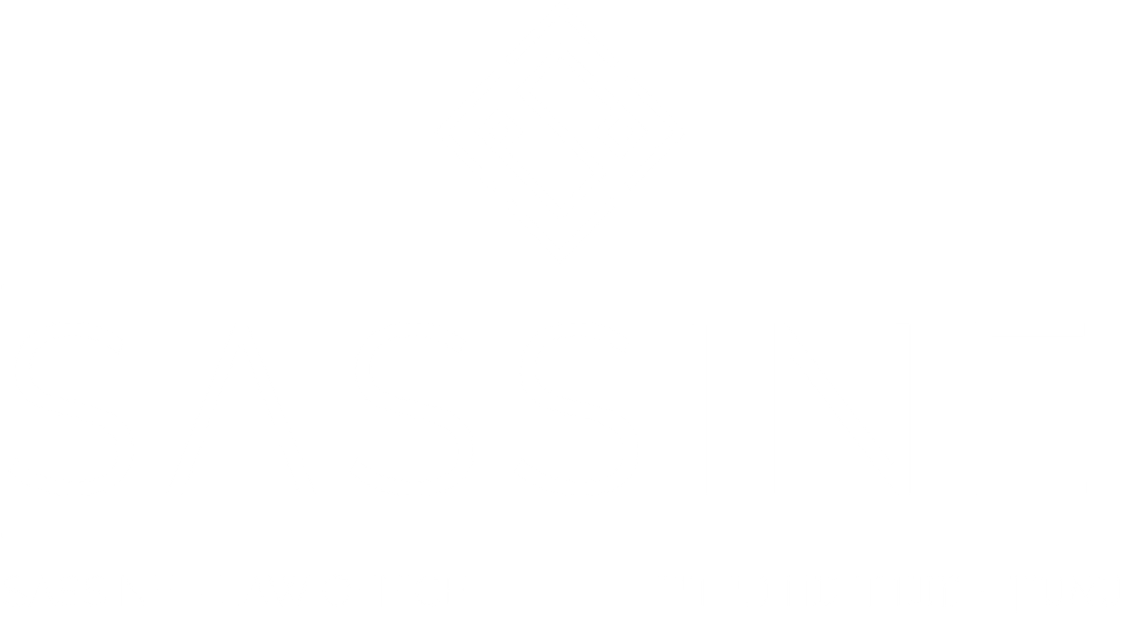Sassine Law Office Logo